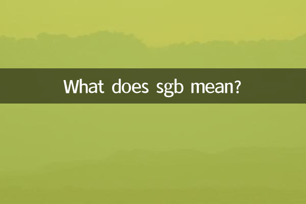 sgb은 무슨 뜻인가요?