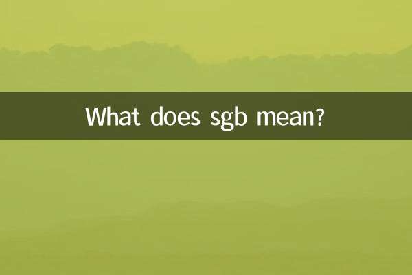 sgb은 무슨 뜻인가요?