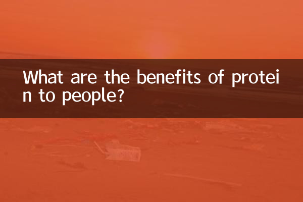 What are the benefits of protein to people?