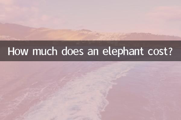 How much does an elephant cost?