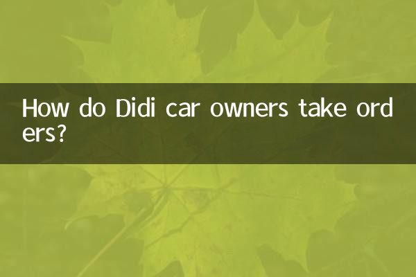 Wie nehmen Didi-Autobesitzer Bestellungen entgegen?