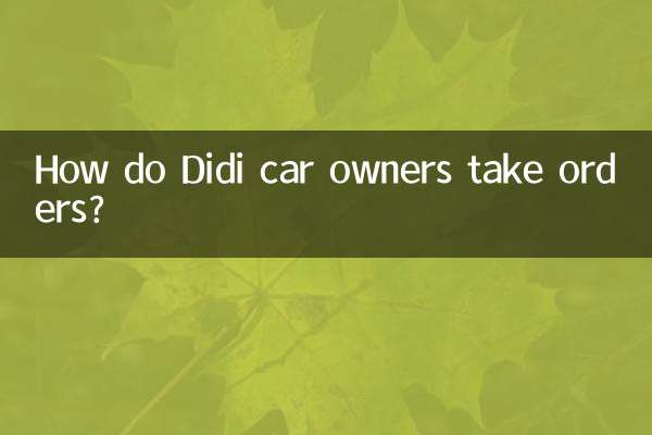 Wie nehmen Didi-Autobesitzer Bestellungen entgegen?