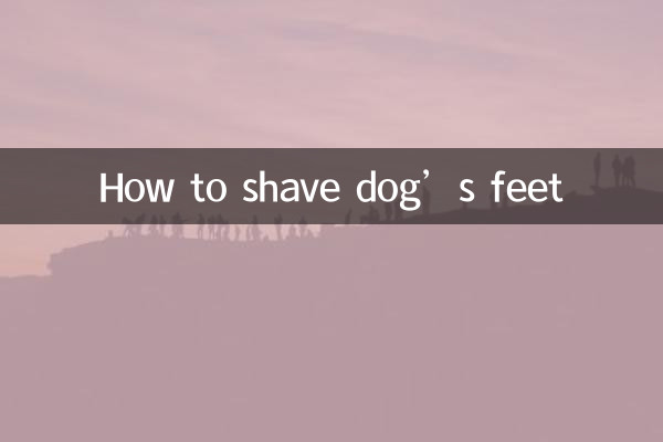 How to shave dog’s feet