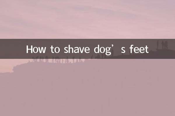 How to shave dog’s feet