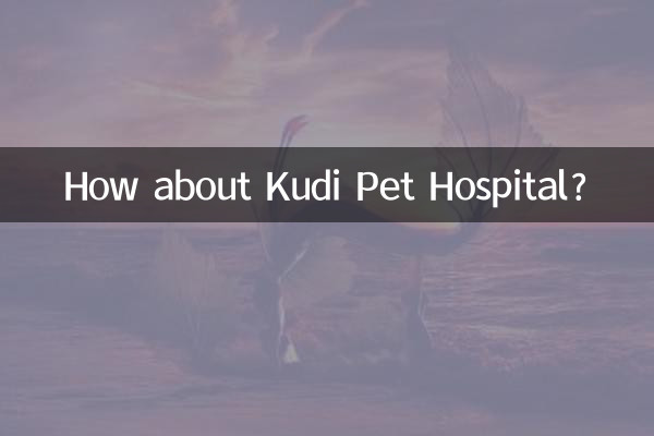 쿠디 애완동물 병원은 어떻습니까?