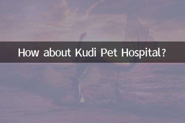 쿠디 애완동물 병원은 어떻습니까?