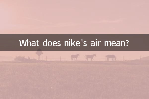 Что означает Nike Air?