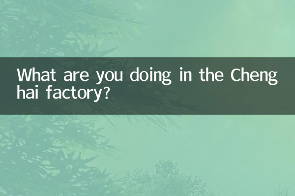 Cosa stai facendo nella fabbrica di Chenghai?