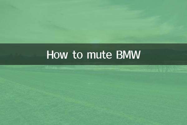 बीएमडब्ल्यू को म्यूट कैसे करें