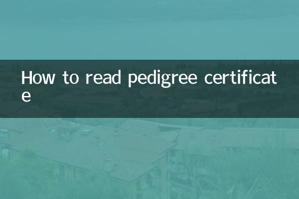 نحوه خواندن گواهی شجره نامه