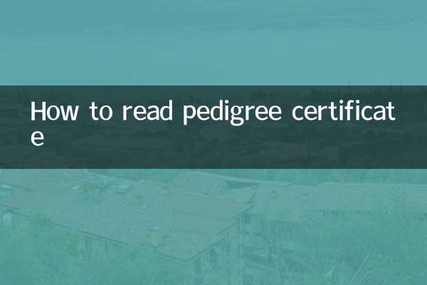 혈통서를 읽는 방법