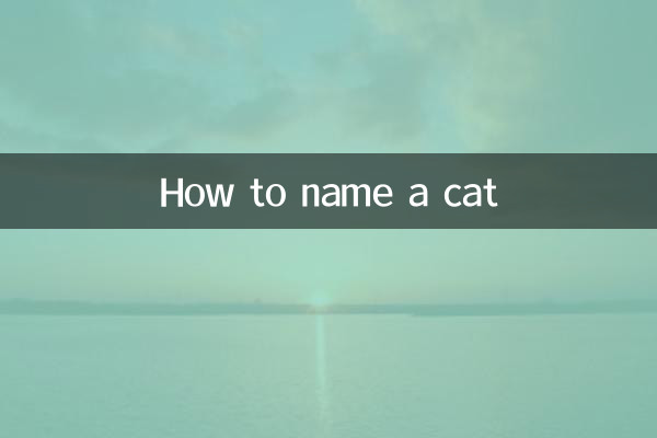 고양이 이름 짓는 방법