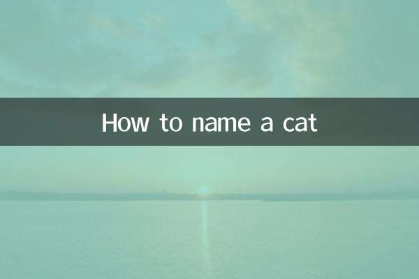 怎么给猫起名字