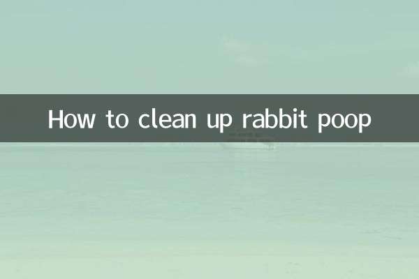 How to clean up rabbit poop