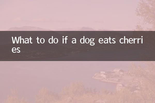 狗吃了樱桃怎么办