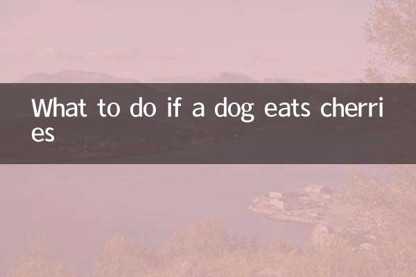 狗吃了樱桃怎么办