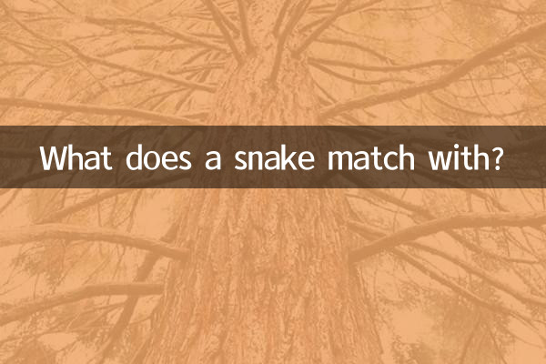 What does a snake match with?