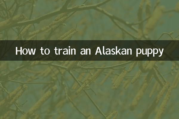 Cómo educar a un cachorro de Alaska