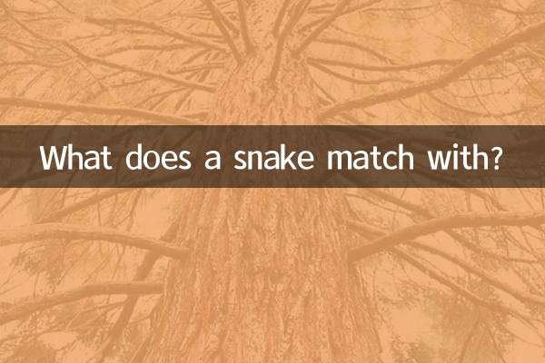 What does a snake match with?