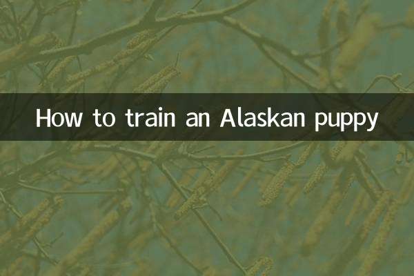 Cómo educar a un cachorro de Alaska