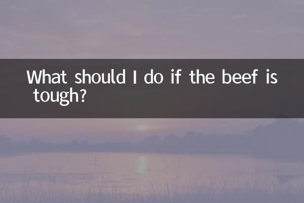 Was soll ich tun, wenn das Rindfleisch zäh ist?