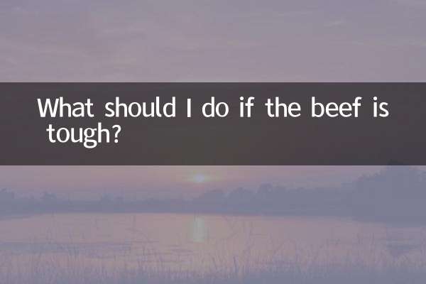 Was soll ich tun, wenn das Rindfleisch zäh ist?