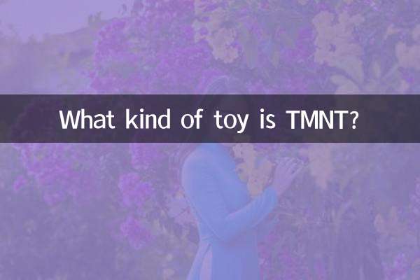 TMNT কি ধরনের খেলনা?