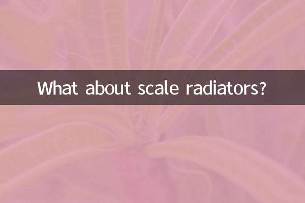 ماذا عن مشعات النطاق؟