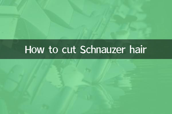 نحوه کوتاه کردن موهای اشناوزر