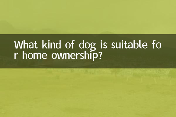 Какая собака подойдет для домашнего владения?