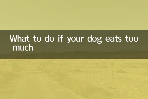 What to do if your dog eats too much