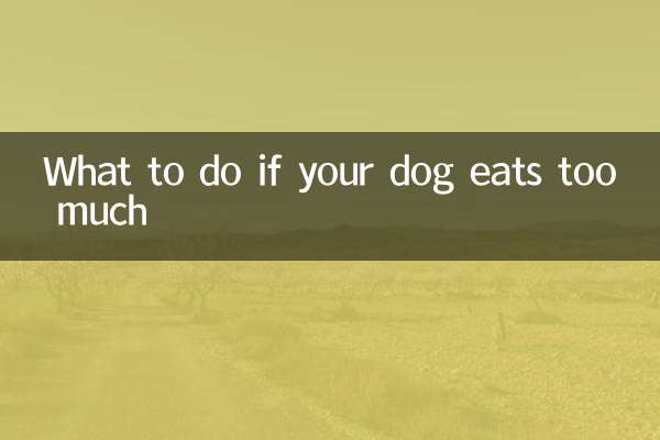 狗狗吃太多怎麼辦