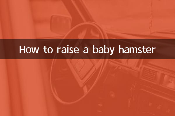 How to raise a baby hamster