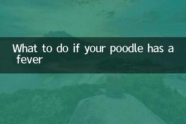 贵宾犬发烧怎么办