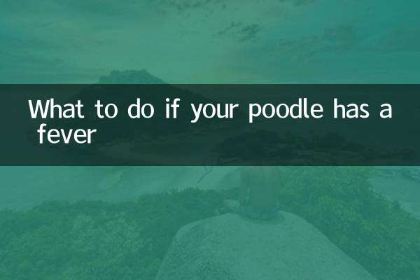 ماذا تفعل إذا كان كلبك يعاني من الحمى