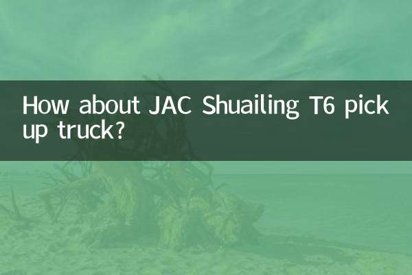 Che ne dici del camioncino JAC Shuailing T6?