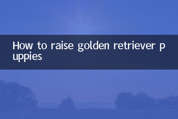 Cómo criar cachorros de golden retriever