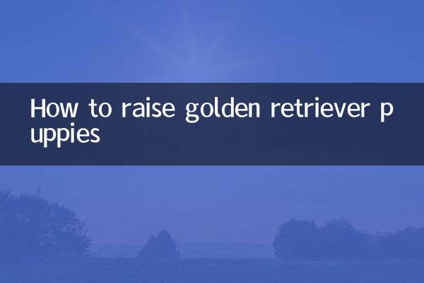 Cómo criar cachorros de golden retriever