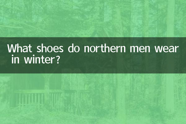 مردان شمالی در زمستان چه کفشی می پوشند؟