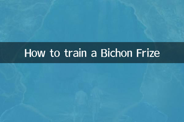 How to train a Bichon Frize