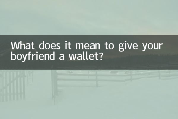 O que significa dar uma carteira ao seu namorado?