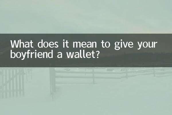 남자친구에게 지갑을 준다는게 무슨 뜻인가요?