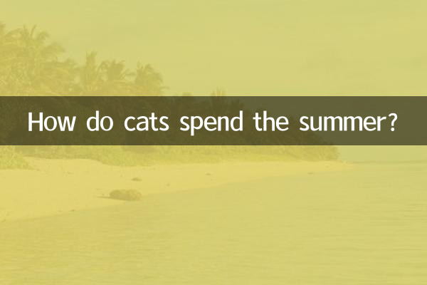 猫咪怎么过夏天