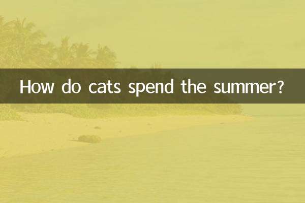 貓咪怎麼過夏天