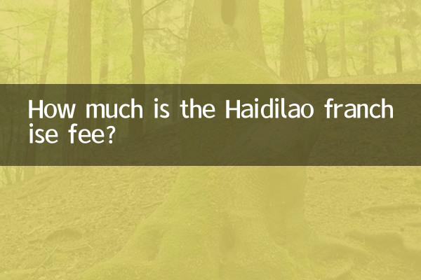 ہیڈیلاو فرنچائز فیس کتنی ہے؟