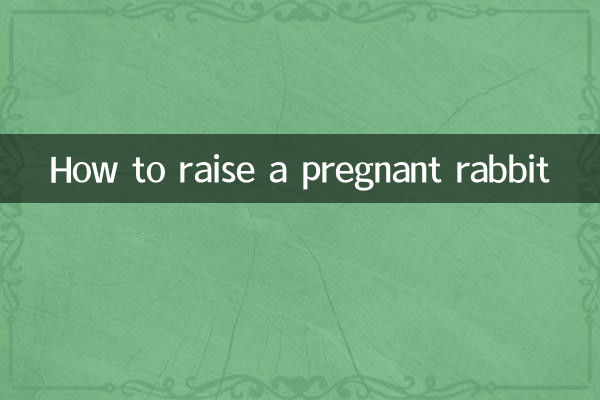 兔子怀孕怎么养