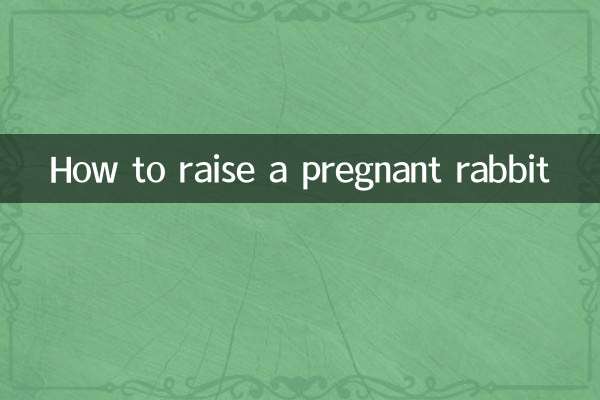 兔子怀孕怎么养