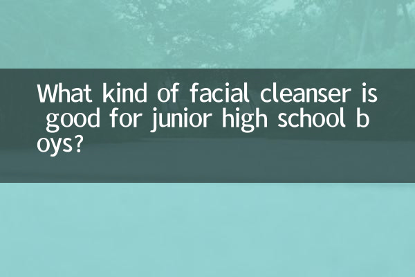 What kind of facial cleanser is good for junior high school boys?