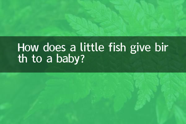 小魚怎么生寶寶