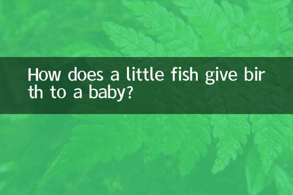 Como um peixinho dá à luz um bebê?